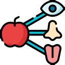 Sensory Icons & Symbols