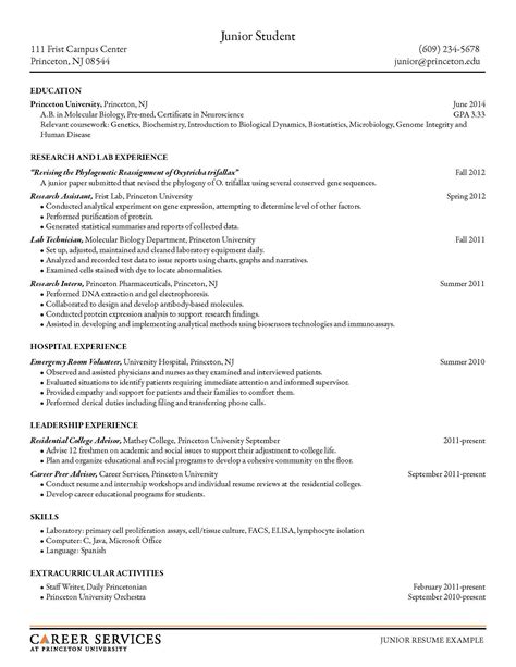 Sample Resumes Examples 的图像结果