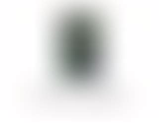 Image result for Core First Learning Books and Lessons