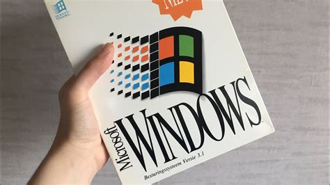 Image result for Windows 3.1 Simulator