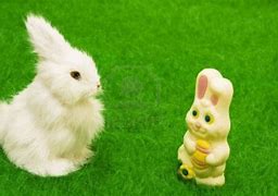 Image result for Real Easter Bunny Terrifying