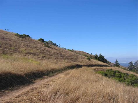 Windy Hill Open Space Preserve