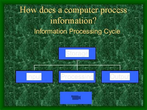 Computer Process Cycle 的图像结果