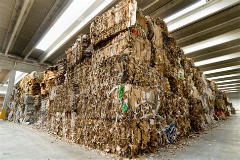 Image result for Waste Paper Recycling