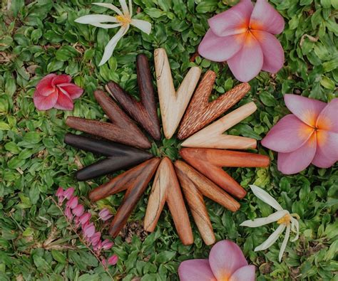 100% Pure SHAMAN SPIRIT Ceremonial Kuripe Kuripi Rapé Applicator Snuff ...