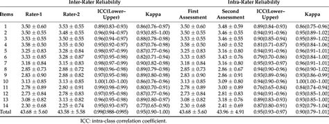 Inter-Rater Reliability 的图像结果