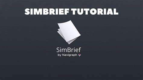 Simbrief Tutorial 的图像结果