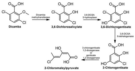Microbiology and Biochemistry of Pesticides Biodegradation