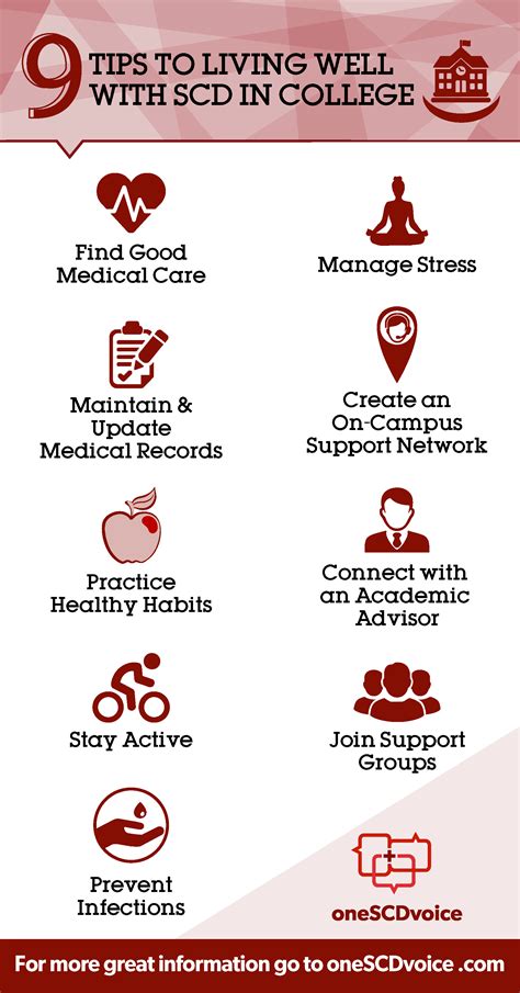 Image result for Applying SCD