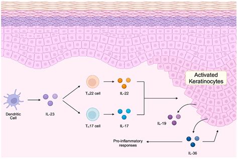 The Role of Long Non-Coding RNA in the Pathogenesis of Psoriasis