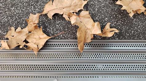 Image result for Gutter Topper Problems