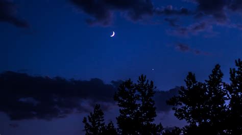 Download wallpaper 1920x1080 night, moon, sky, clouds, trees full hd ...