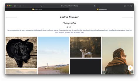 Image result for Create a Dynamic Website for Portfolio From Scratch