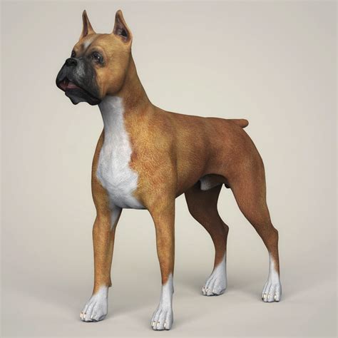 ArtStation - Realistic 3D Dog Collection | Resources