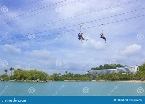 Cocoa Beach Zip Line at Alfredo Russell blog