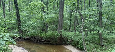 Fairland Rec: Viper and Crowsfoot Loop, Maryland - 1,497 Reviews, Map ...