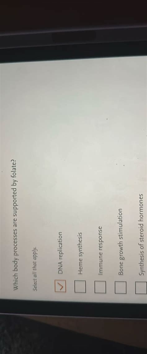 Image result for Folate DNA Synthesis