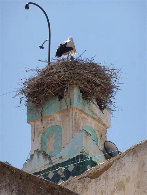 CHEZ L'HABITANT MAZOUZI (Sefrou) - Specialty Hotel Reviews & Photos ...