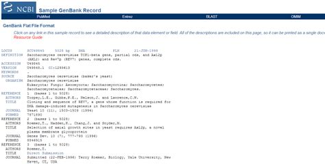 GenBank File 的图像结果