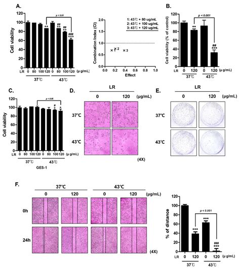Enhancing Gastric Cancer Therapeutic Efficacy through Synergistic ...