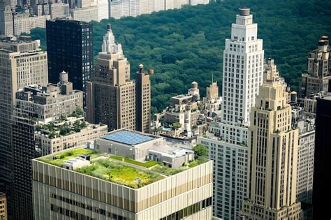 A green roof on a building planted with native grasses and flowers ...