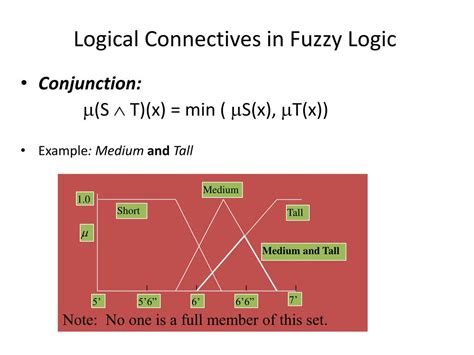 Fuzzy Sets Examples 的图像结果