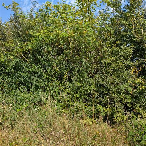 WELLS & WALSINGHAM LIGHT RAILWAY (2026) All You Need to Know BEFORE You ...