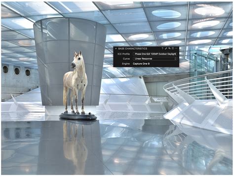 Image result for Capture One Session Workflow
