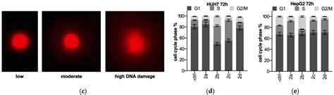 Hexokinase 2 Inhibition and Biological Effects of BNBZ and Its ...