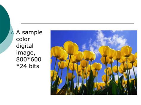 Digital Image Example 的图像结果