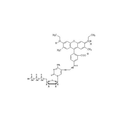 R6G-ddCTP | Revvity