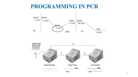 Image result for PCR Primer Design Software