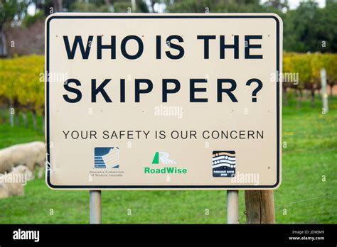 Image result for Designated Driver Drinking Signage