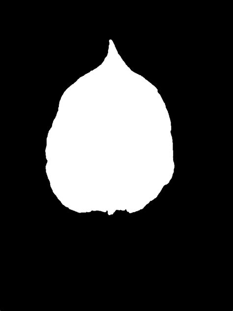 Java Black and White 的图像结果