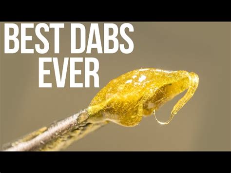 Making Dabs 的图像结果