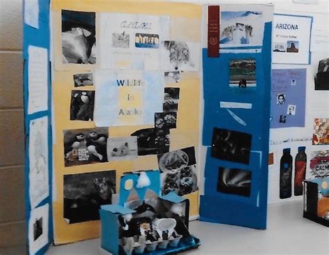 Image result for Mathematical Science Project