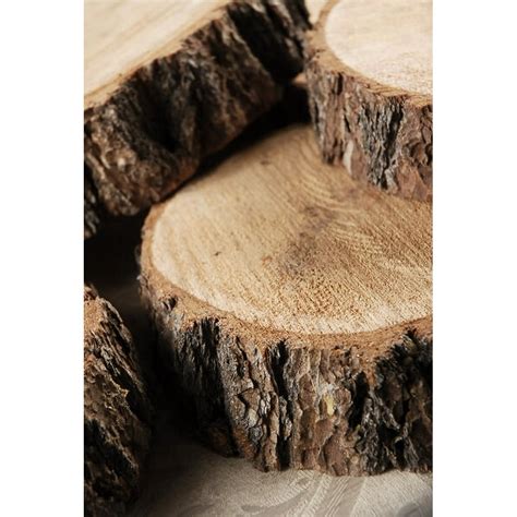 Image result for Tree Rot Slices