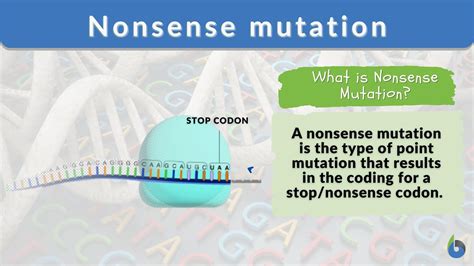 Point Mutation Example
