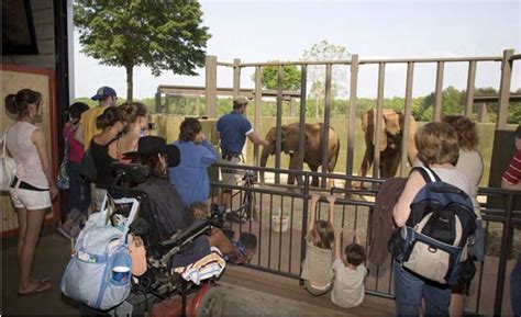 ZooLex Image - Elephant Tracking Station