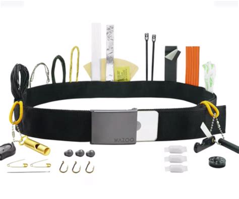 Image result for Cache Belt