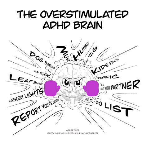 Image result for ADHD Brain Scan vs Normal