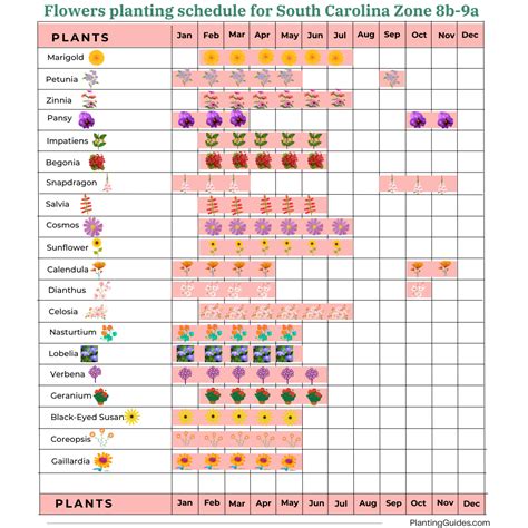 South Carolina Planting Schedule