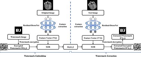 Process Based Algorithm 的图像结果