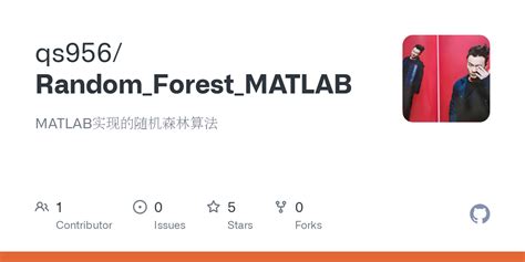 MATLAB Random Forest 的图像结果