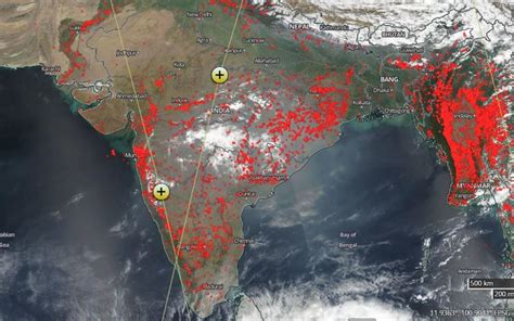 Forests are on fire, a little more every day