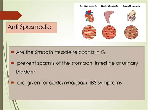 3.1antispasmodicdrugs | PDF