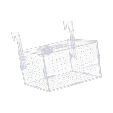 Enakshi Aquarium Isolation Box Clear Aquarium Supply for Aggressive ...