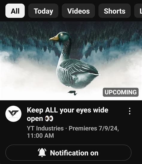 Image result for YT SL Geek Java