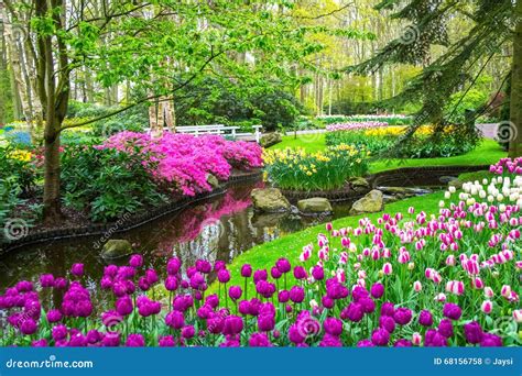 Beautiful Spring Forest 的图像结果