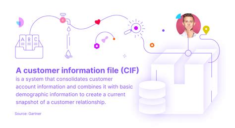 Customer Information File 的图像结果